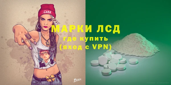 гидра Абаза