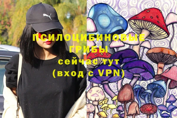 гидра Абаза