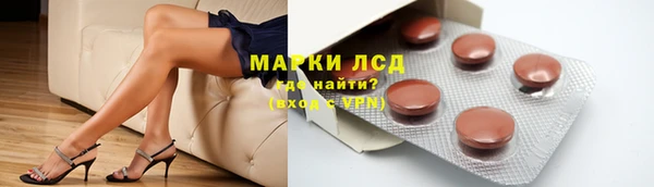 гидра Абаза