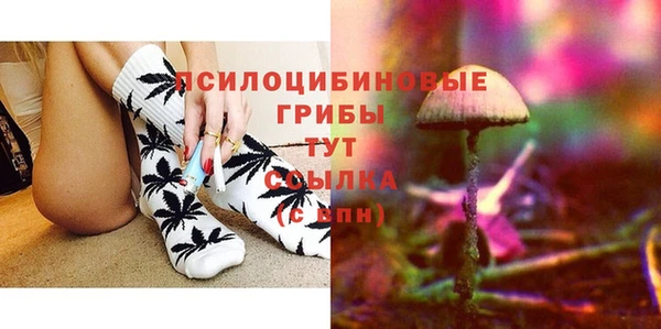 стаф Алексеевка