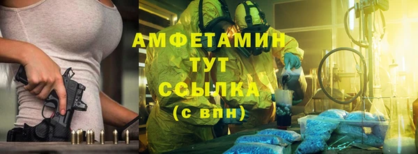гидра Абаза