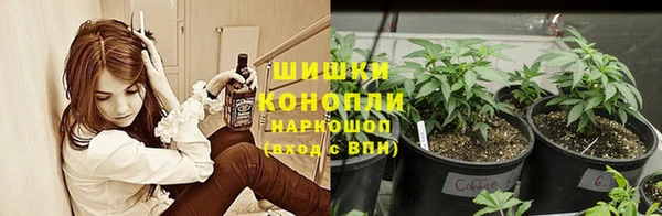 ГАЛЛЮЦИНОГЕННЫЕ ГРИБЫ Алзамай